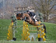 Hendrix Wait and see TosTour2013- S5 2889 : Arezzo, Arezzo Equestrian Centre, Hendrix Michel, Toscana Tour 2013, Wait and see, foto di Stefano Secchi ©